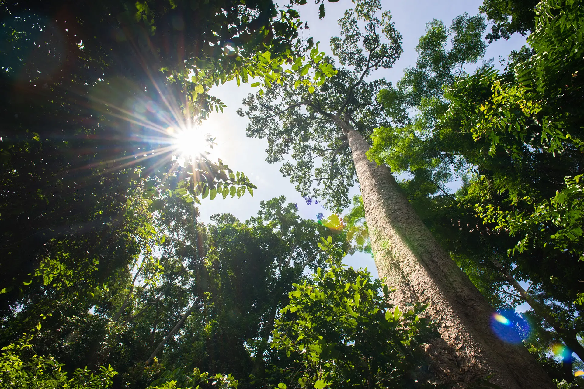 AdobeStock 163870078 copy