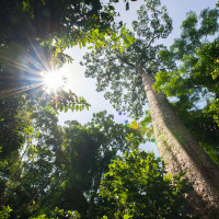 AdobeStock 163870078 copy