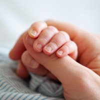 ccc blog cancer and fertility