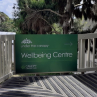 under the canopy blog