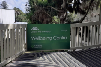 under the canopy blog