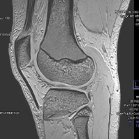 Untitled (800 x 400 px) (1)